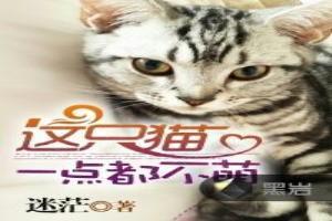 这只猫一点都不萌